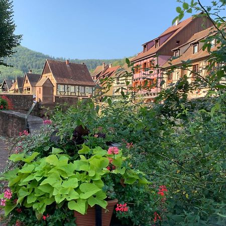 Studio Cosy Kaysersberg Centre Exterior foto